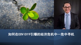 如何在COVID19引爆的经济危机中--危中寻机